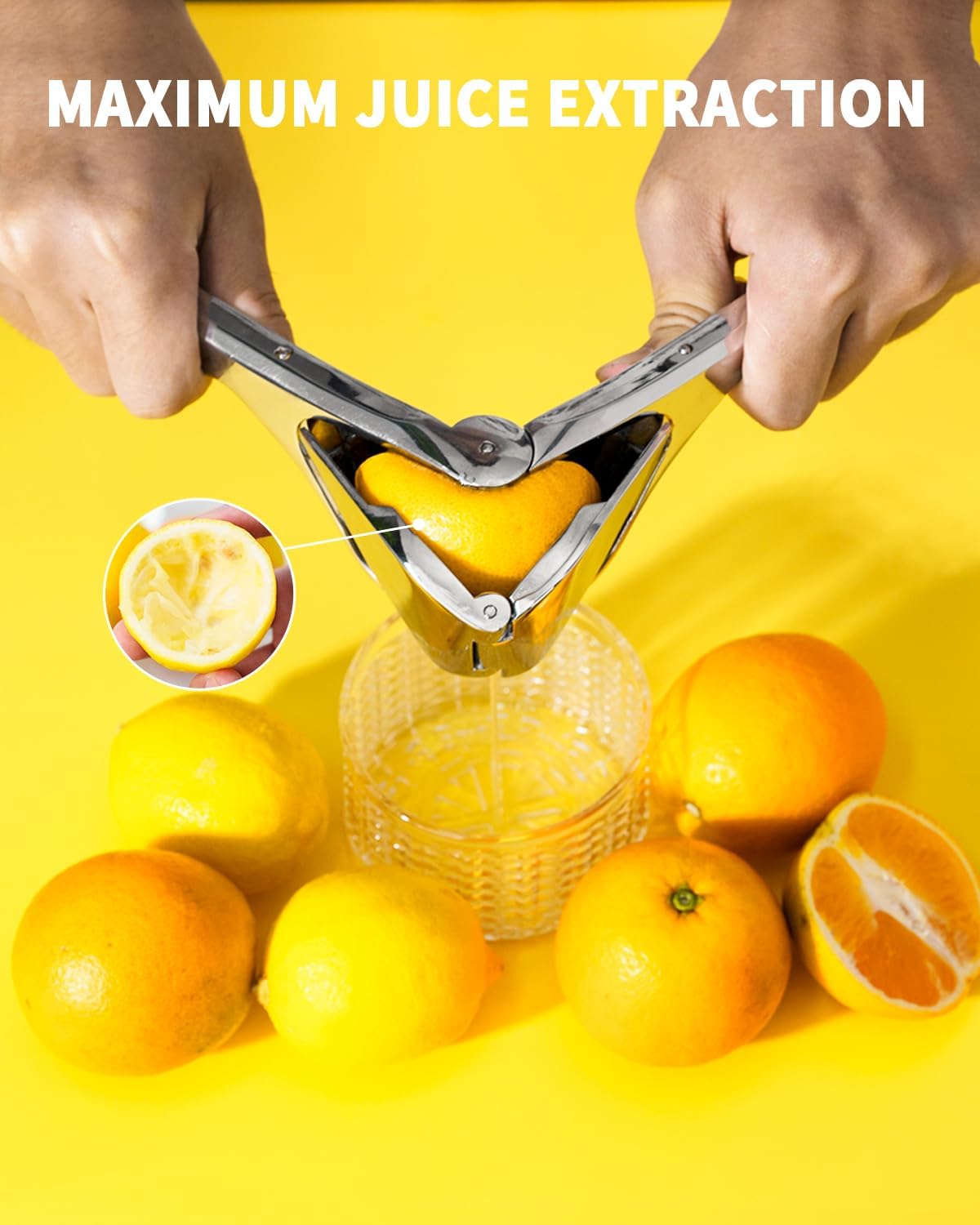 Amerivale Heritage Citrus Press Handheld Stainless